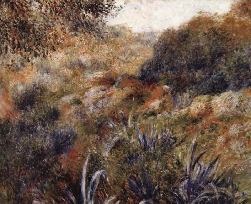 Pierre Renoir Algerian Landscape:Wild Woman Ravine China oil painting art